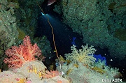 Ambiance-St Johns Shaab Claudia-8m-20121025-Denis-ADER-DSC_2747_tn
